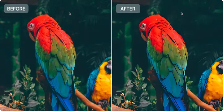 AI Photo Color Correction